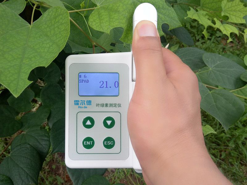 葉綠素含量測(cè)定儀具備哪些功能特點(diǎn)