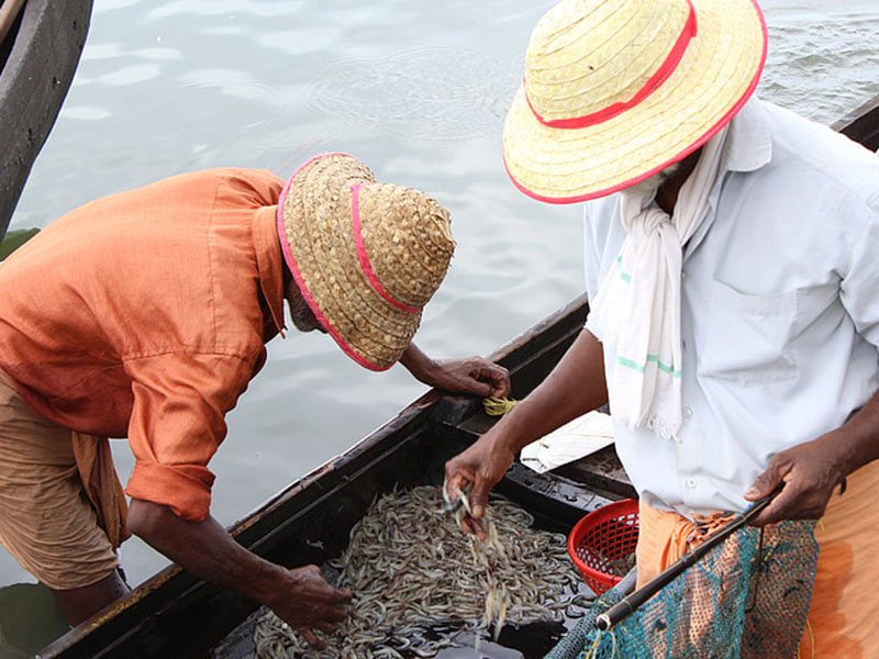 水產(chǎn)養(yǎng)殖業(yè)檢測水質(zhì)的儀器是哪款？