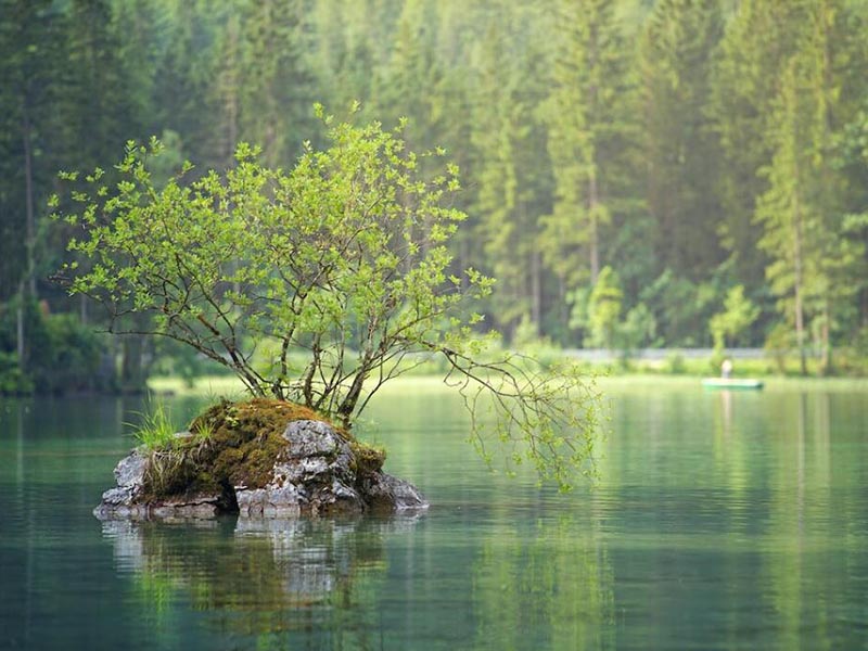 水中葉綠素在線監(jiān)測儀原理
