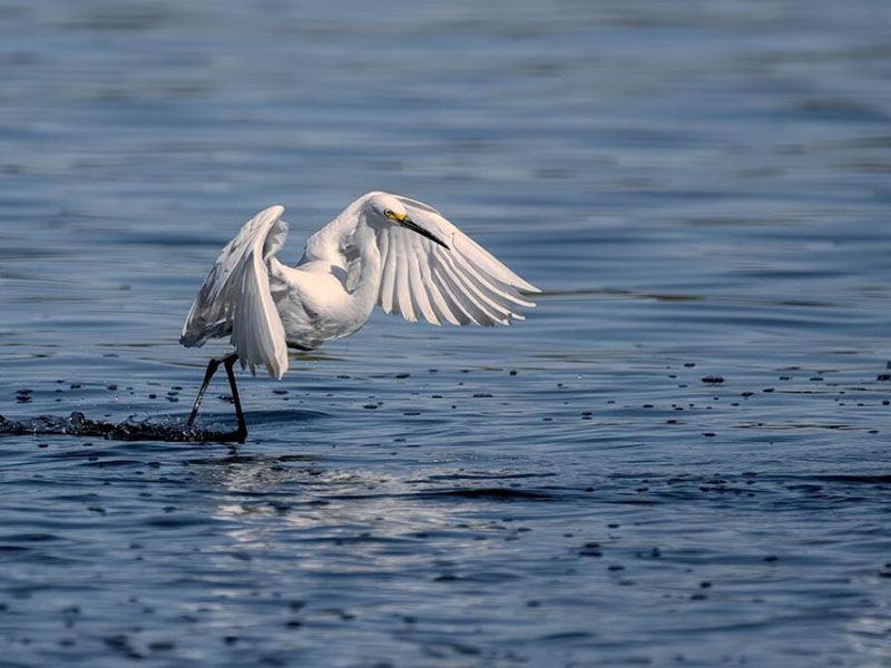 便攜式多參數(shù)水質(zhì)檢測儀多少錢
