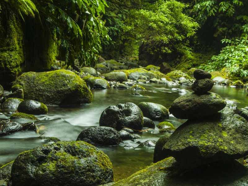 總磷檢測儀常見故障及處理方法