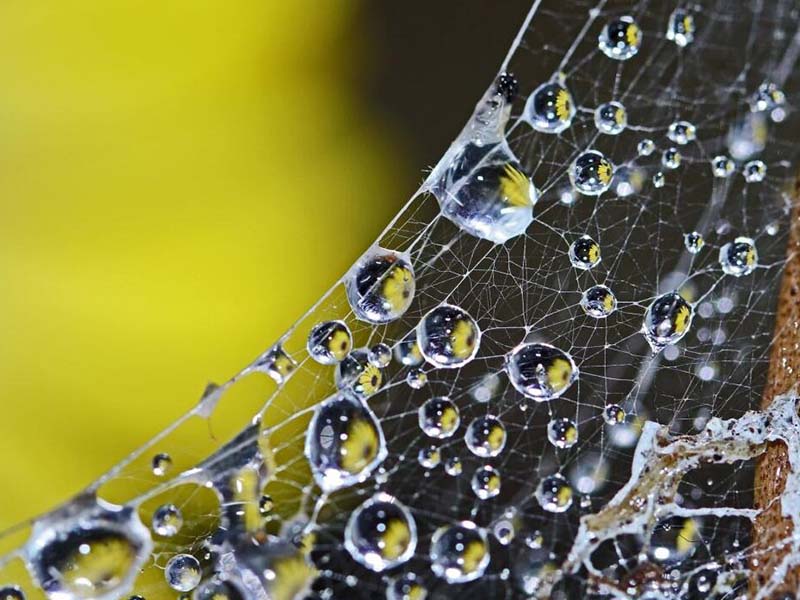 水質(zhì)余氯檢測(cè)儀使用方法