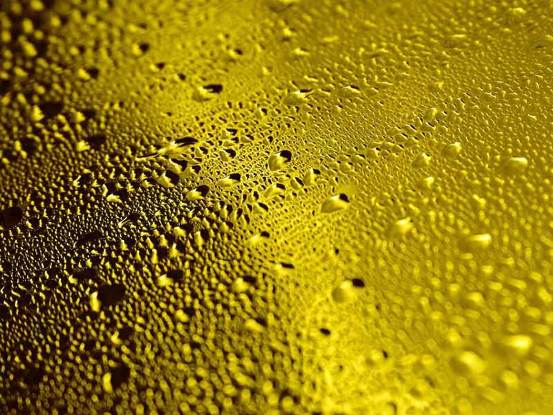 食用油酸價(jià)檢測(cè)儀功能特點(diǎn)（食用油酸價(jià)檢測(cè)儀說(shuō)明書）