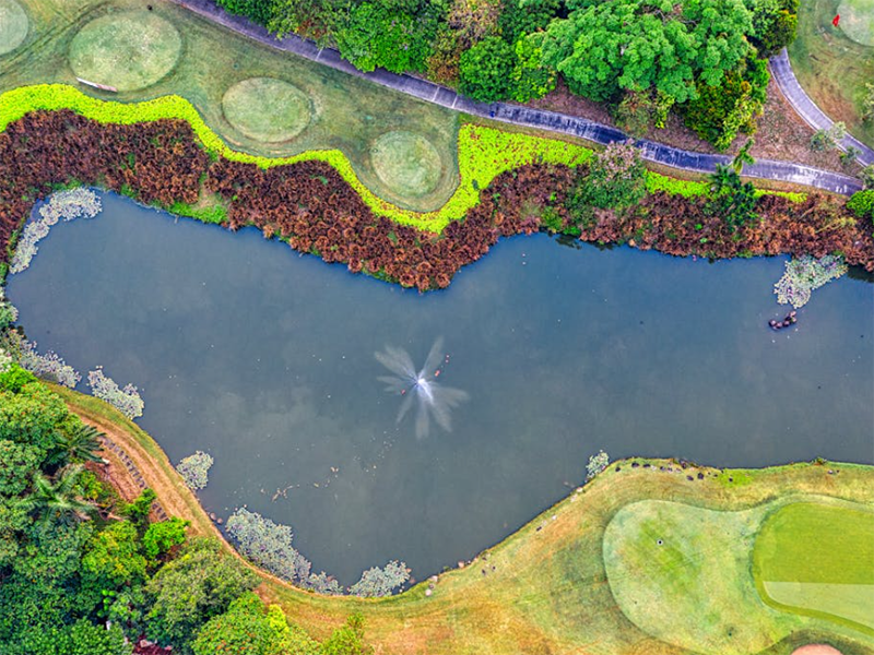 水質(zhì)氰化物測(cè)定儀使用條件要求（水質(zhì)氰化物測(cè)定儀原理）