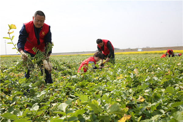 土壤養(yǎng)分速測儀助力農(nóng)貿(mào)開展科學(xué)施肥