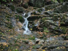 霍爾德余氯分析儀，可用于水源保護工作